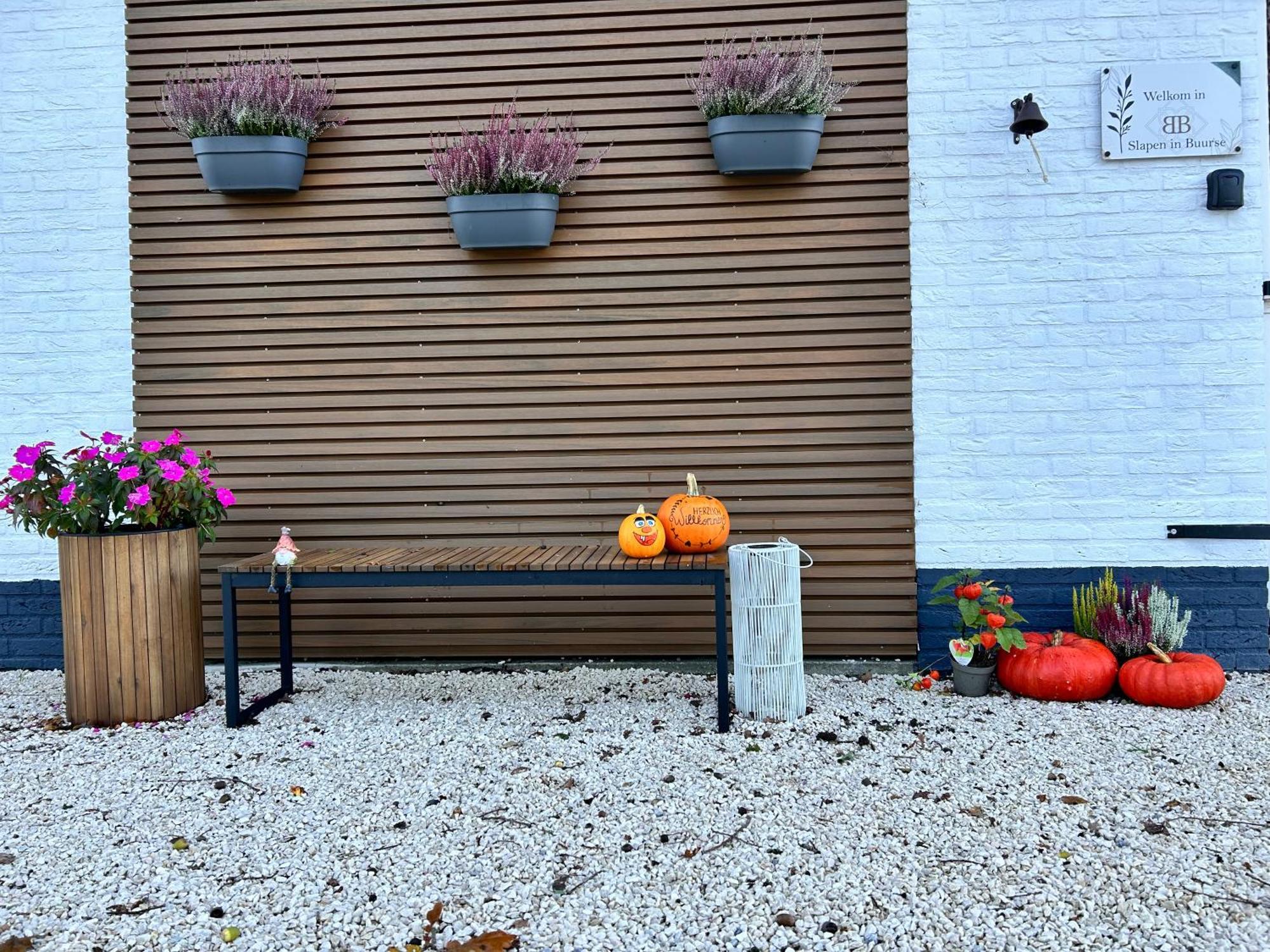 B&B Slaap In Buurse Haaksbergen Exterior foto